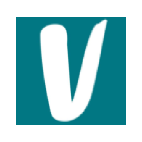 Vinted Icon